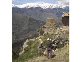 photo coins arrondis